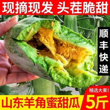 顺丰包邮坏果包赔产地直发酥脆多汁甘甜爽口网红带货