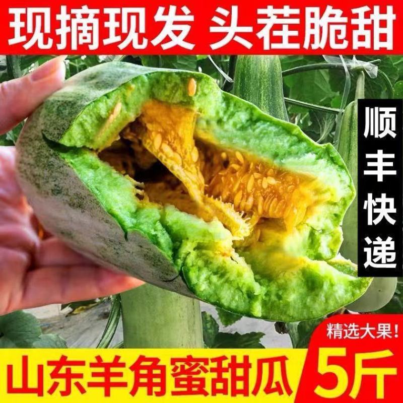 顺丰包邮坏果包赔产地直发酥脆多汁甘甜爽口网红带货