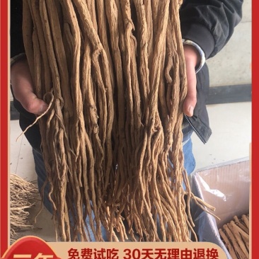 甘肃道地无硫党参条天然晾晒大量批发价格低对接全国