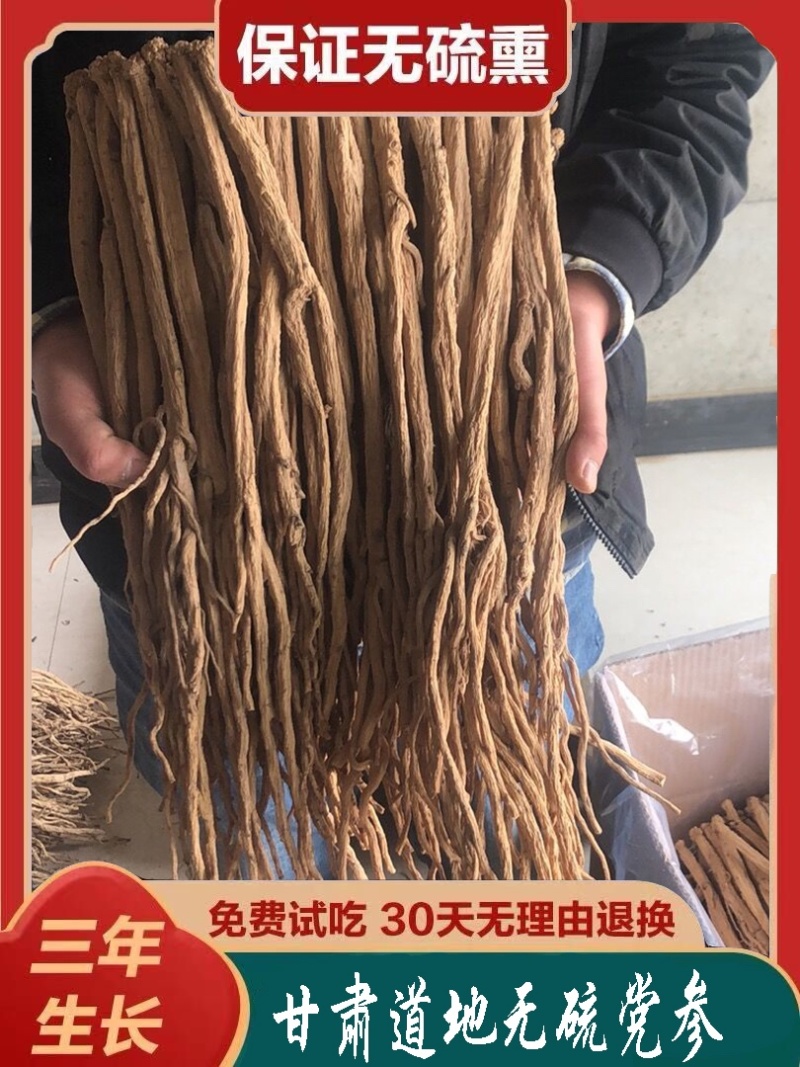 甘肃道地无硫党参条天然晾晒大量批发价格低对接全国