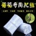 包邮葡萄扎丝园林猕猴桃捆绑枝扎丝圆0.7cm铁丝包塑12