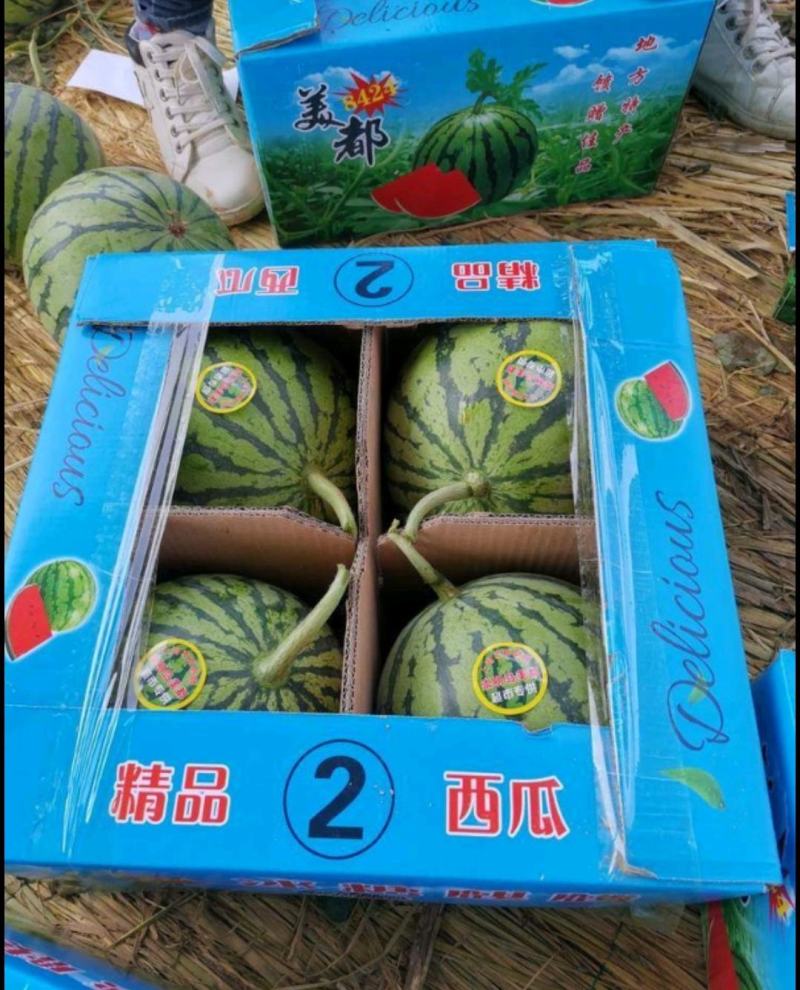 安徽砀山8424大量上市，口感好果型正