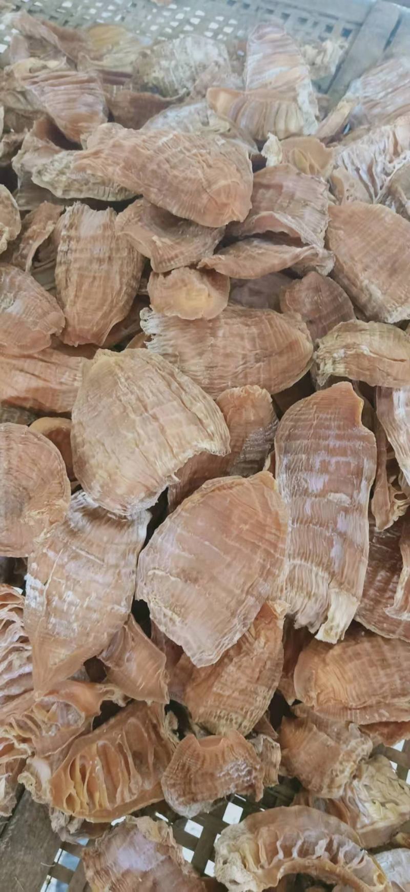 风干机烤的玉兰片