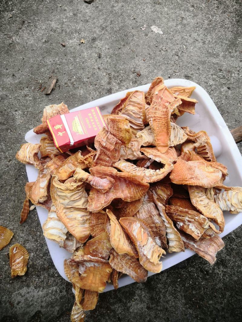 风干机烤的玉兰片