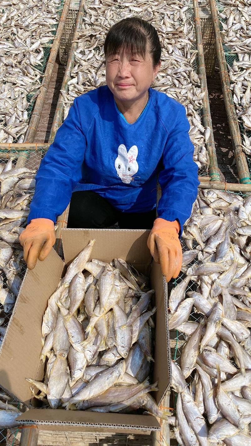 渤海湾咸鱼腌制晾晒马口鱼油扣鱼量大优惠中