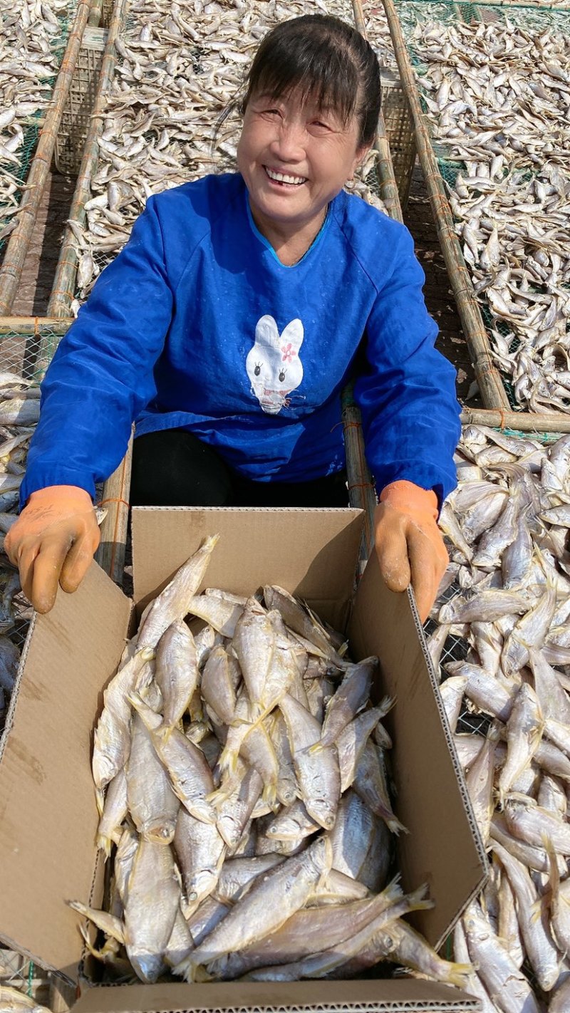 渤海湾咸鱼腌制晾晒马口鱼油扣鱼量大优惠中