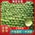中甘21甘蓝0.5~1公斤精品”产地直供”一手货源