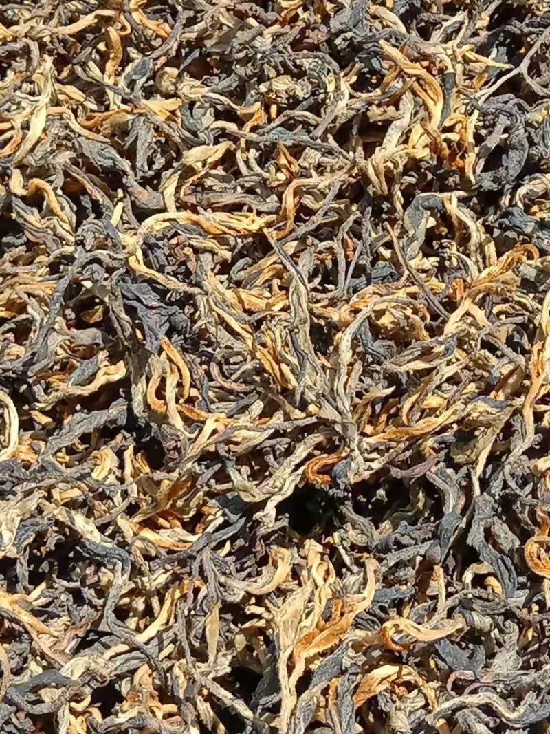 云南省临沧市凤庆县古树茶