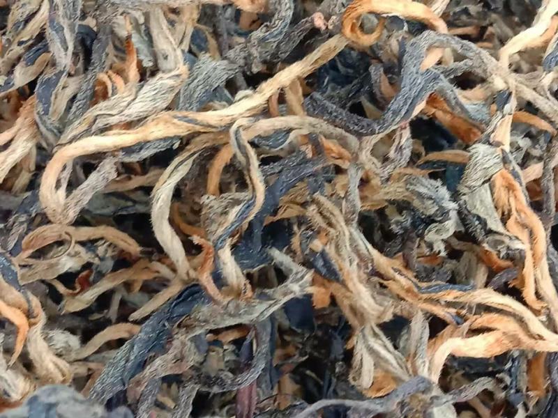 云南省临沧市凤庆县古树茶