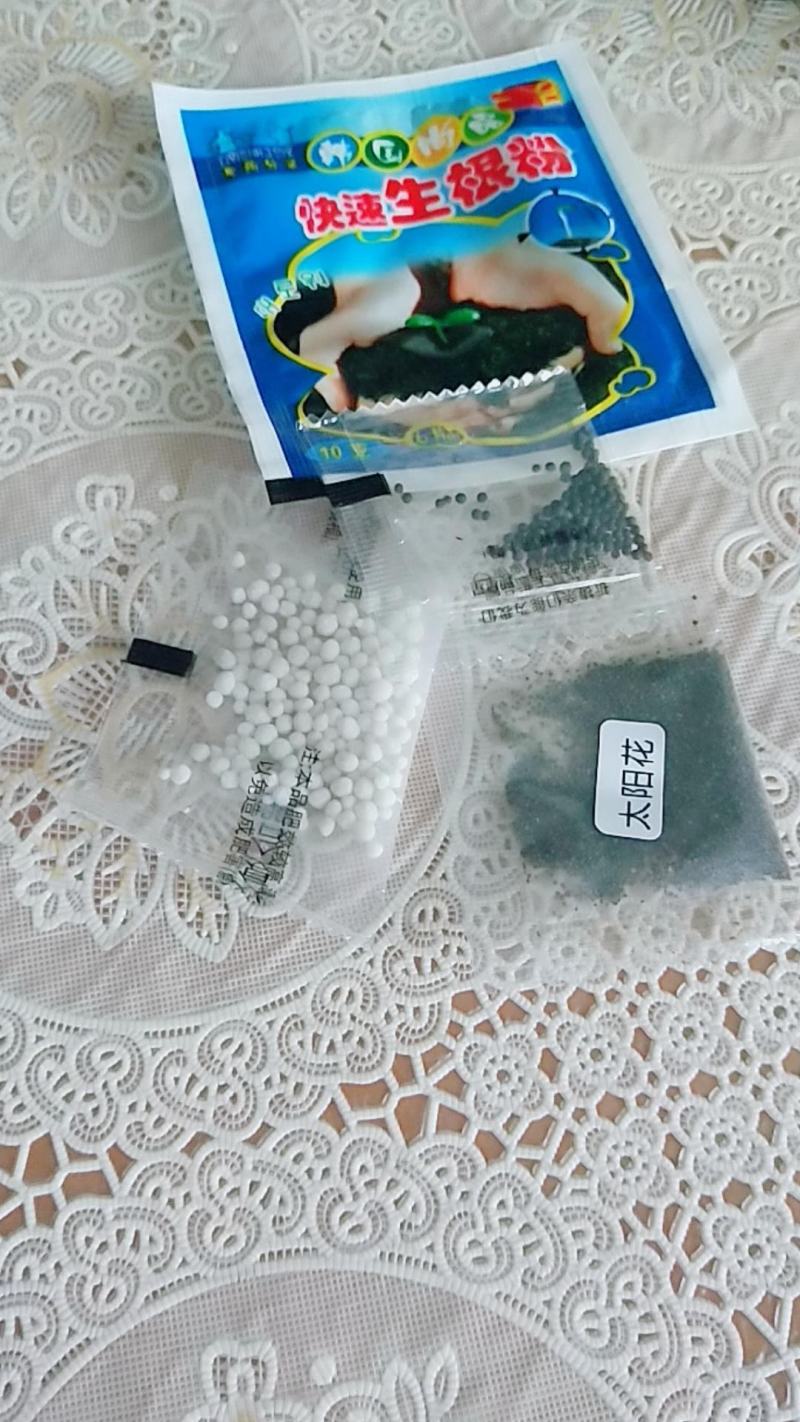 1万粒太阳花种子