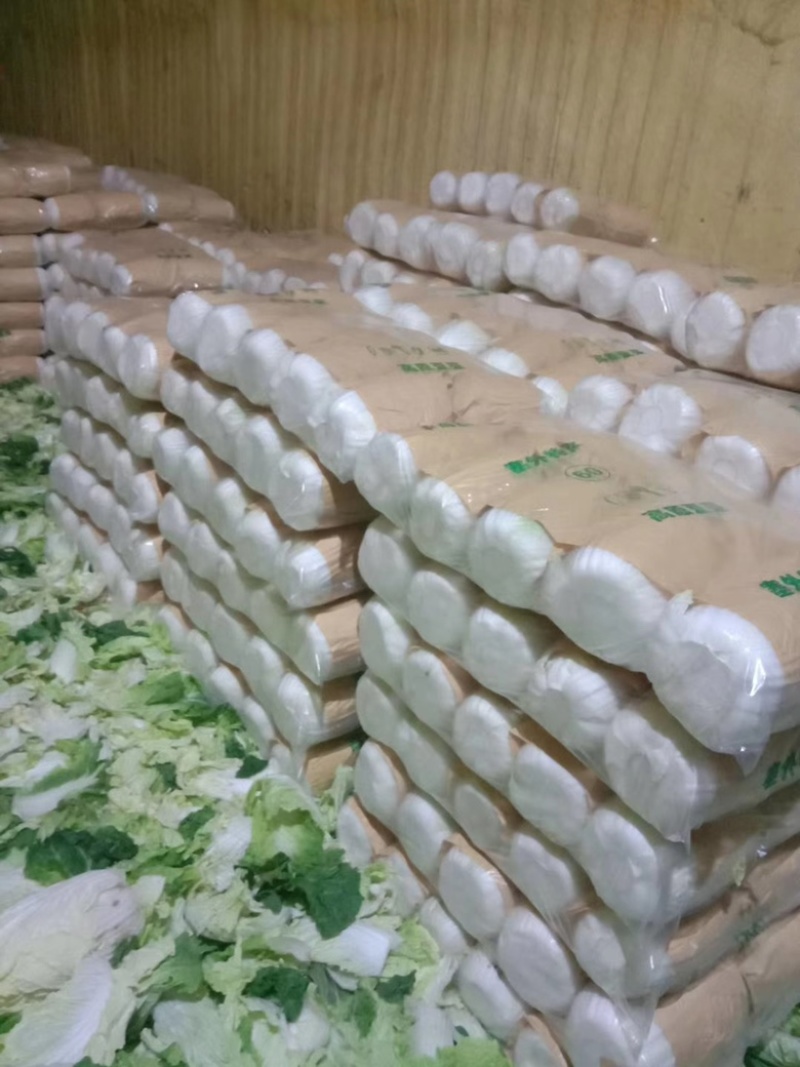 甘肃黄心白菜4到6斤精品货产地直发可视频看货