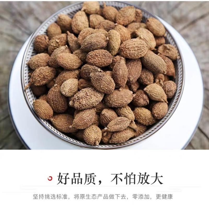 中药材香砂砂仁货品正宗煲汤食材散装干货