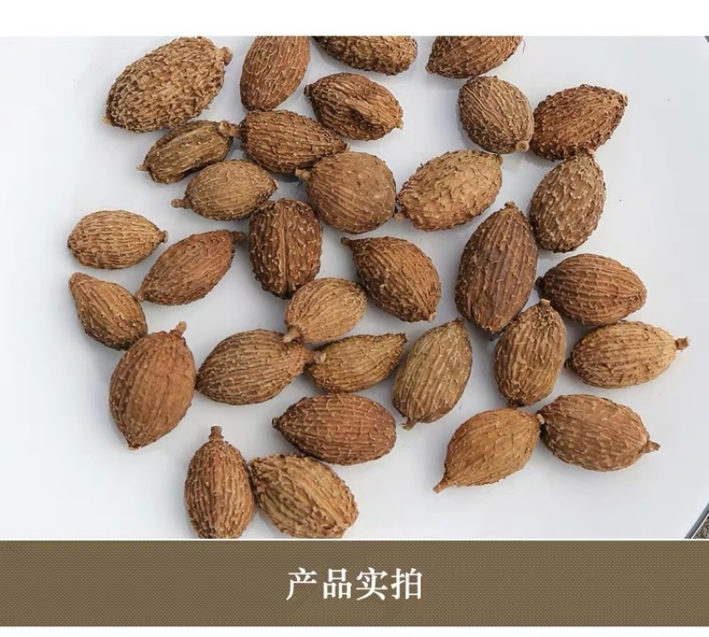 中药材香砂砂仁货品正宗煲汤食材散装干货