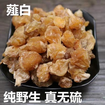 中药材野生薤白500克正宗精选薤白精选无硫量大从优