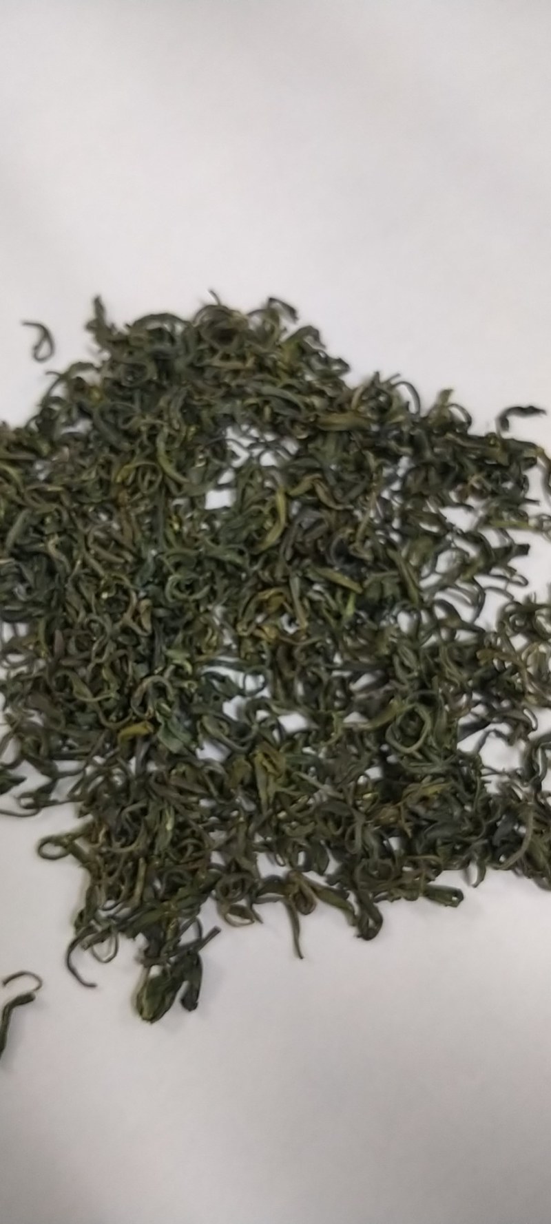 绿茶