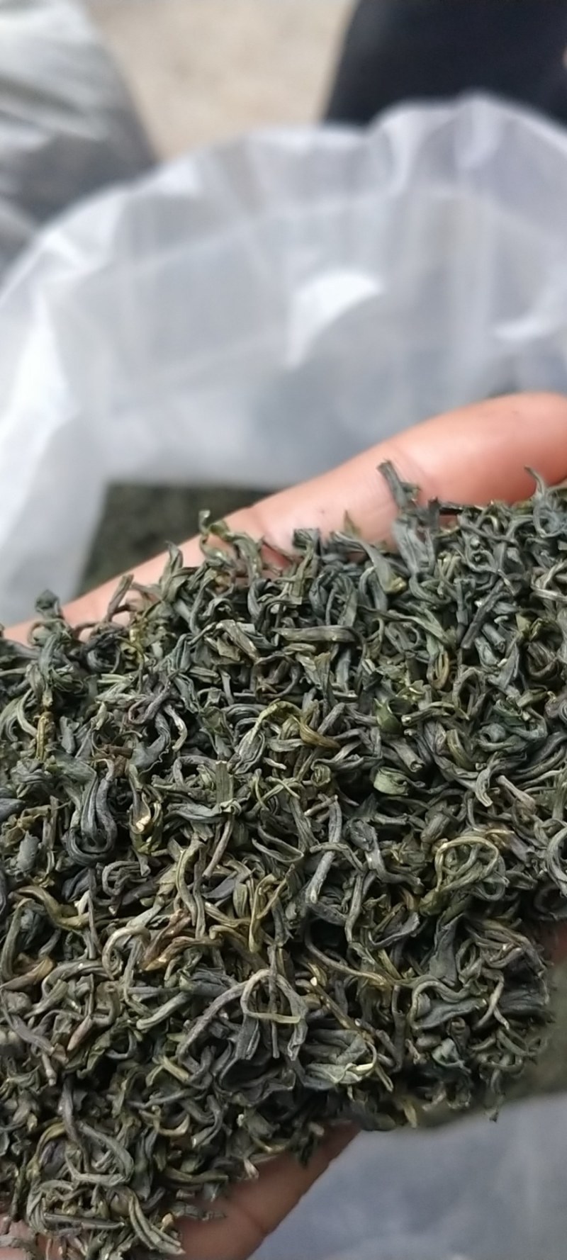 陕南绿茶汉中仙毫高山原生态富含硒、锌、氨基酸绿茶