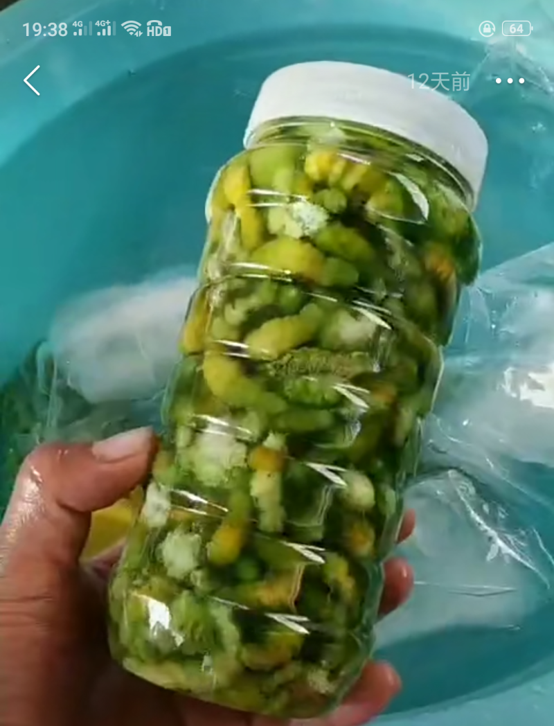 豆丹
