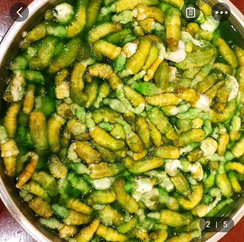 豆丹
