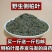 侧柏叶中药材野生侧柏叶量大从优欢迎选购