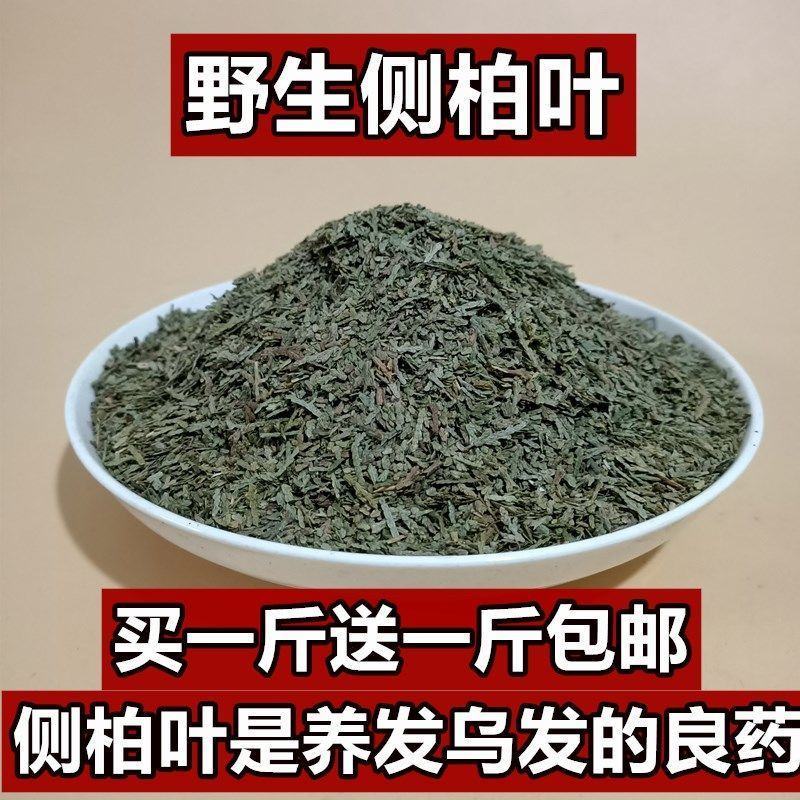 侧柏叶中药材野生侧柏叶量大从优欢迎选购