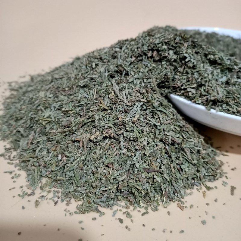 侧柏叶中药材野生侧柏叶量大从优欢迎选购