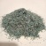 侧柏叶中药材野生侧柏叶量大从优欢迎选购