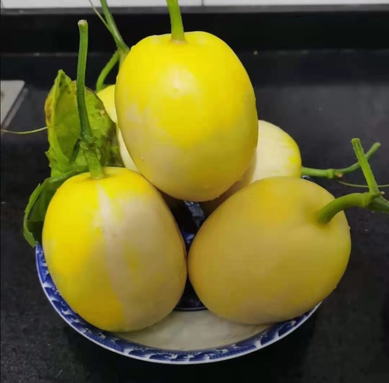 【精选】山东费县星甜20甜瓜精品甜瓜对接电商超市市场