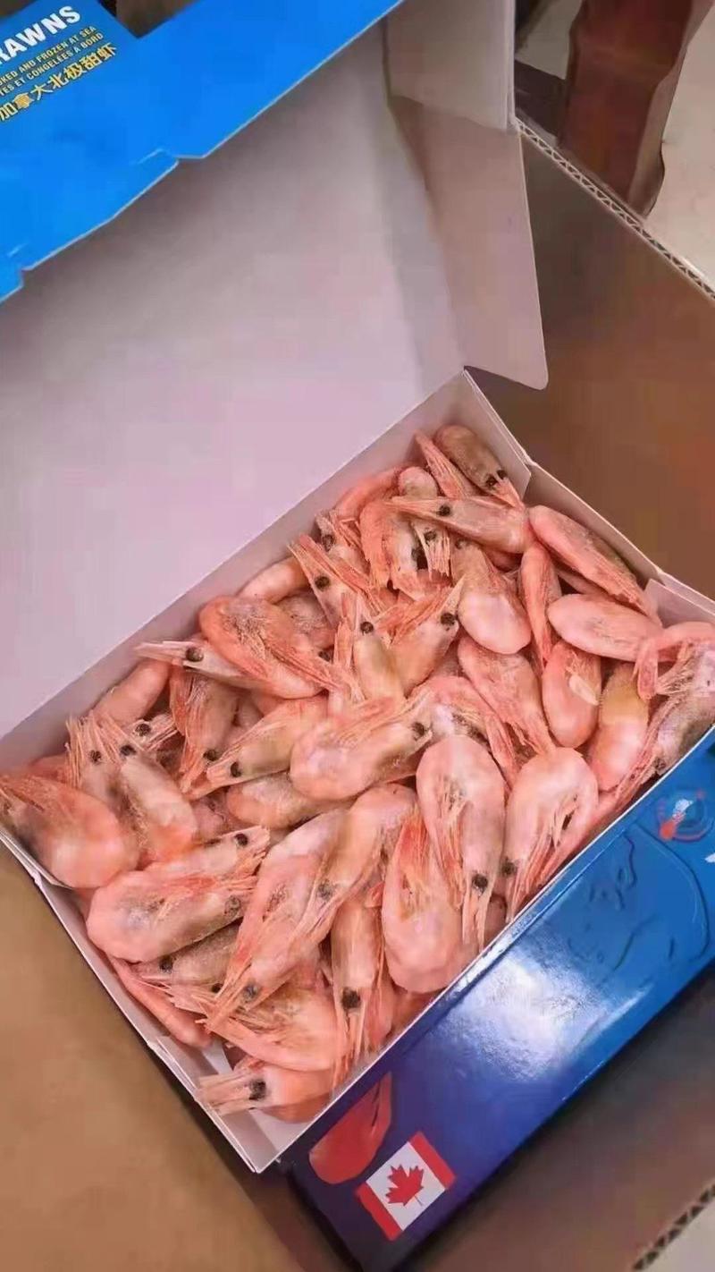 大量批发北极甜虾元宝虾一手货源