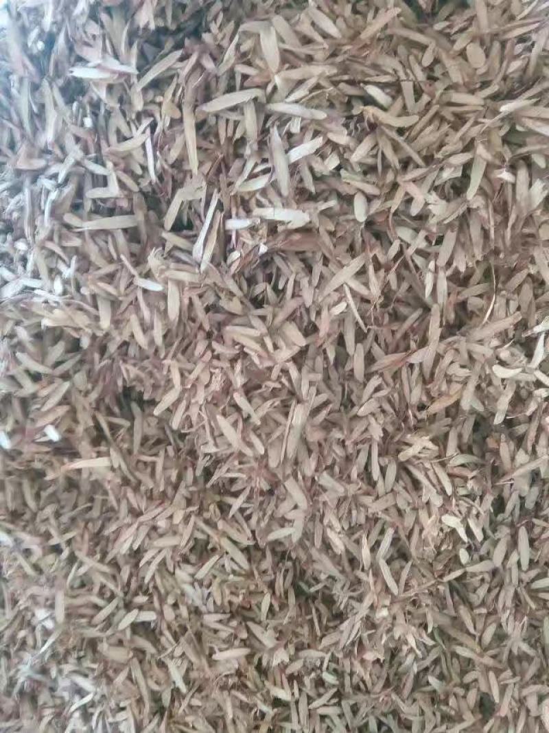 特此推荐甘肃瓜州精品甘草鲜货以及片等各种规格齐全欢迎咨询