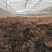 沼肥沼渣肥沼气肥料有机肥料化肥微生物肥
