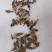 金沙牛