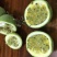 新品种绿皮荔枝味百香果苗蓝冠百香果苗当年结果盆栽庭院种植