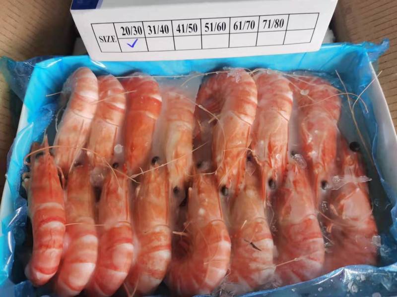 黑虎虾越南黑虎虾低价处理