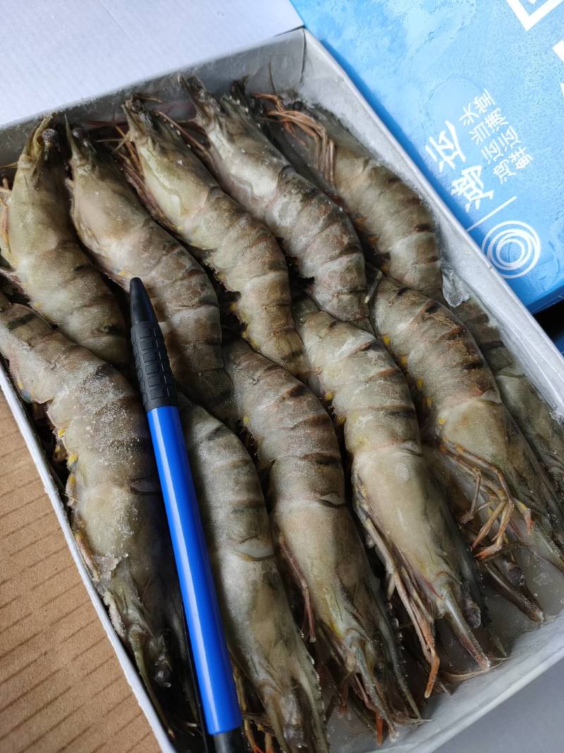 黑虎虾越南黑虎虾低价处理