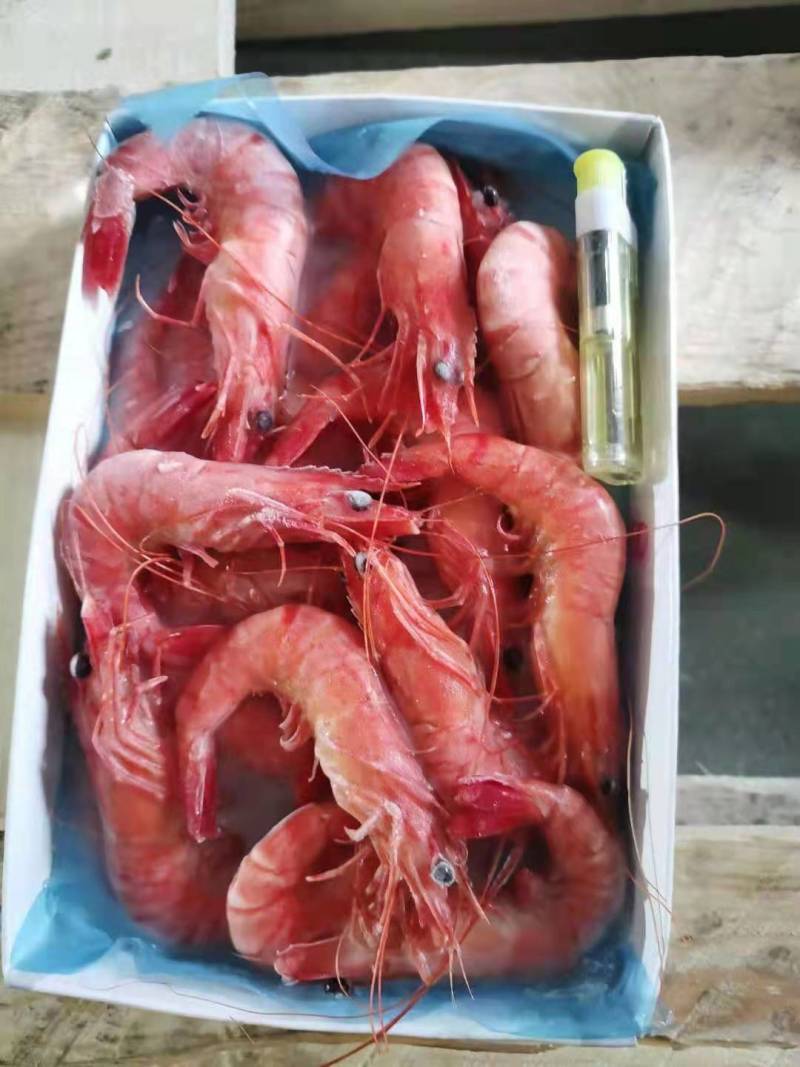 黑虎虾越南黑虎虾低价处理