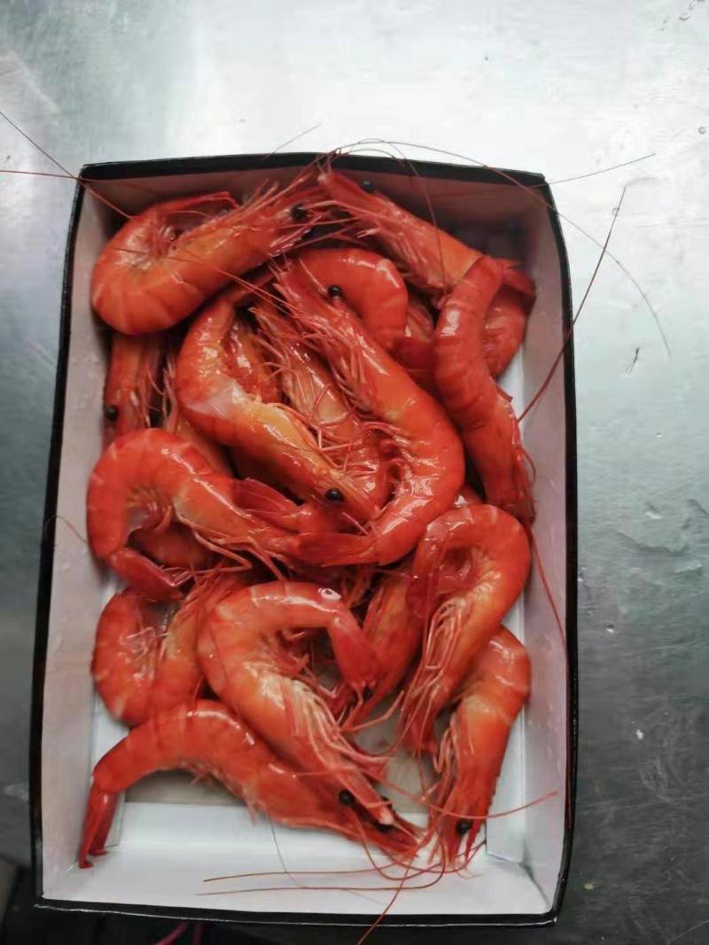 黑虎虾越南黑虎虾低价处理