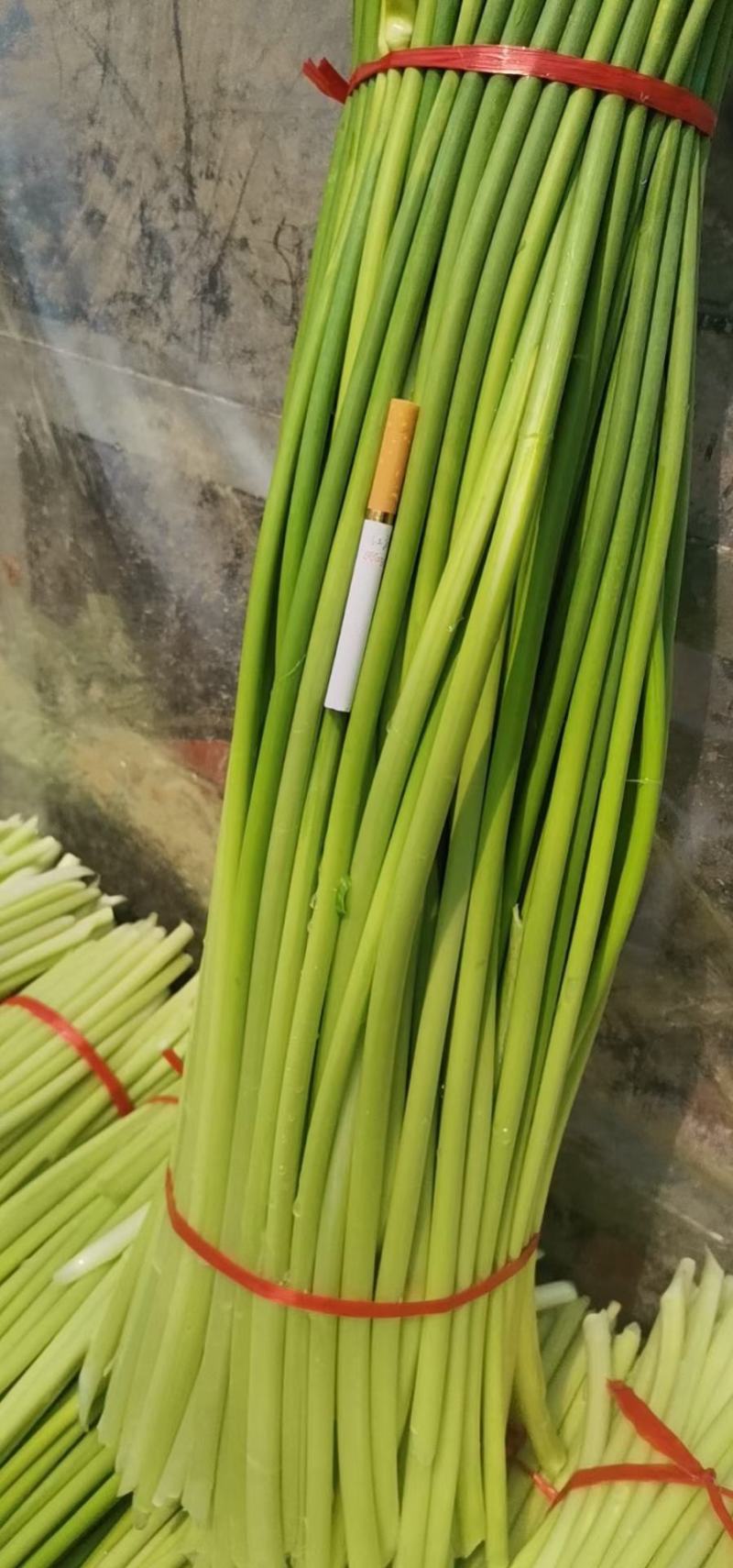 【牛商推荐】河南蒜‘薹白帽蒜苔大量现货供应诚信经营