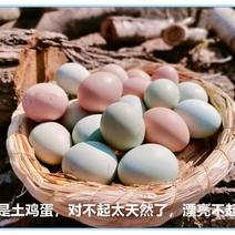 【产地精选】正宗山林生态散养土鸡蛋原产地直发
