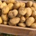 【优选】山东土豆荷兰十五土豆大量上市现挖现发品质保证