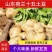 【优选】山东土豆荷兰十五土豆大量上市现挖现发品质保证
