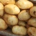 云南文山土豆大量上市
