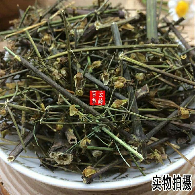新鲜干货云南野生中药材青叶胆青叶丹走胆药包邮