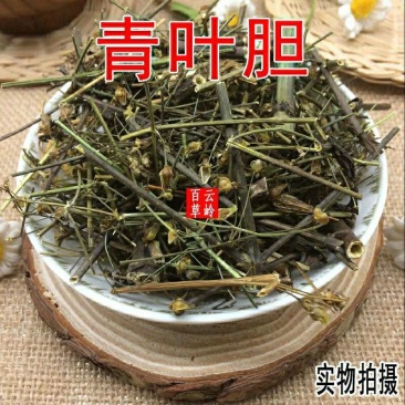 新鲜干货云南野生中药材青叶胆青叶丹走胆药包邮