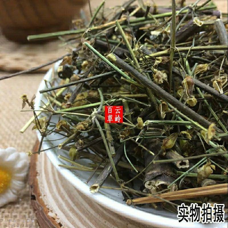 新鲜干货云南野生中药材青叶胆青叶丹走胆药包邮
