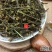 新鲜干货云南野生中药材青叶胆青叶丹走胆药包邮