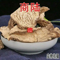 云南野生中药材商陆土人参见肿消章柳根牛大黄山萝