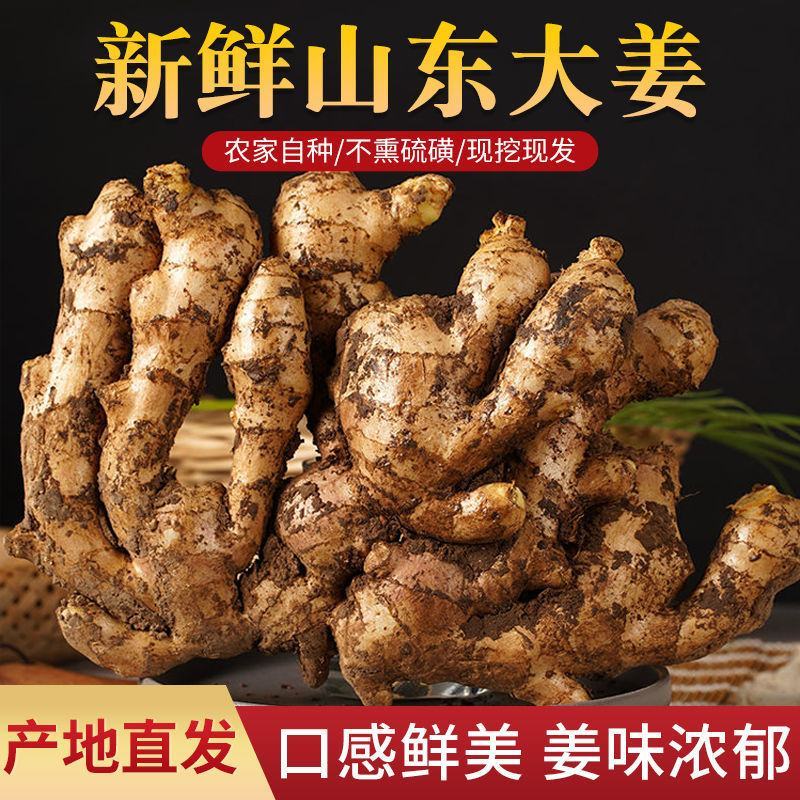生姜，山东，大黄姜，坏烂包赔，保证质量，大量供应。