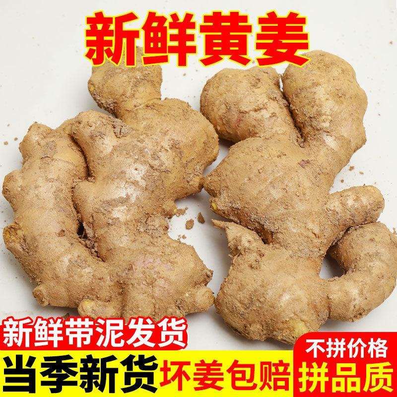 生姜，山东，大黄姜，坏烂包赔，保证质量，大量供应。