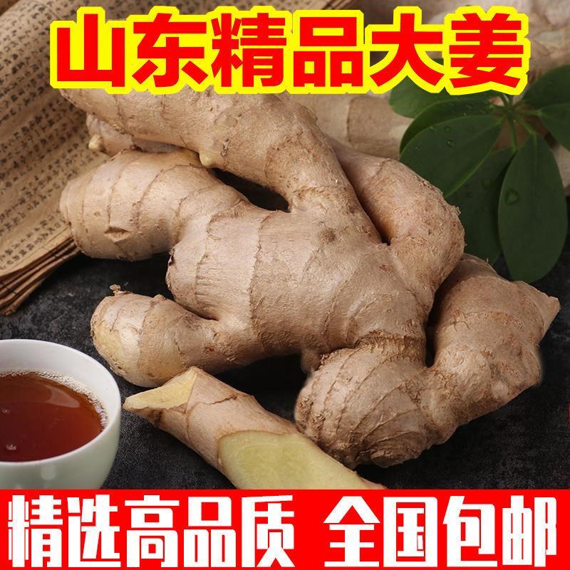 生姜，山东，大黄姜，坏烂包赔，保证质量，大量供应。