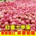 【红富士产地】山东苹果直发质量保证纸袋膜袋诚信经营